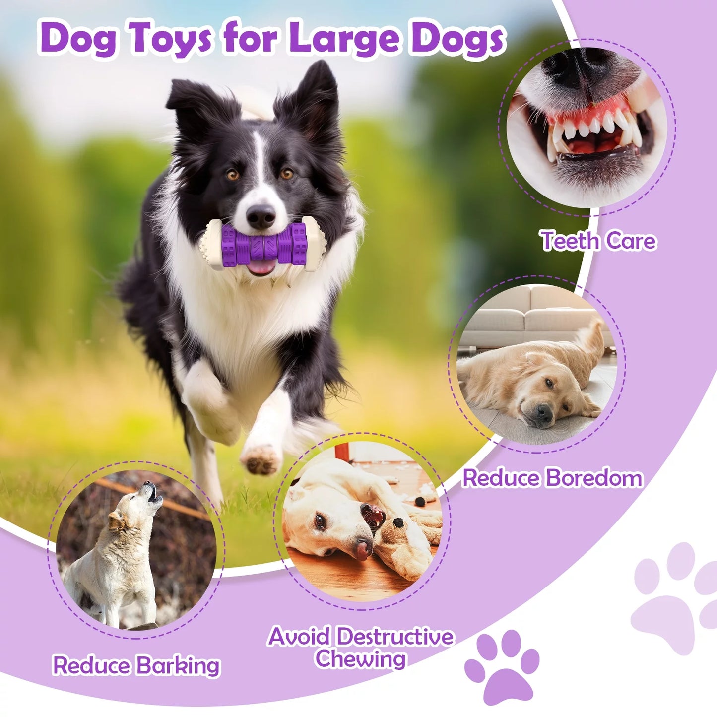 Interactive Dog Chew Toy–Brightly Colored Dog Enrichment Toy for Aggressive Chewers-Purple