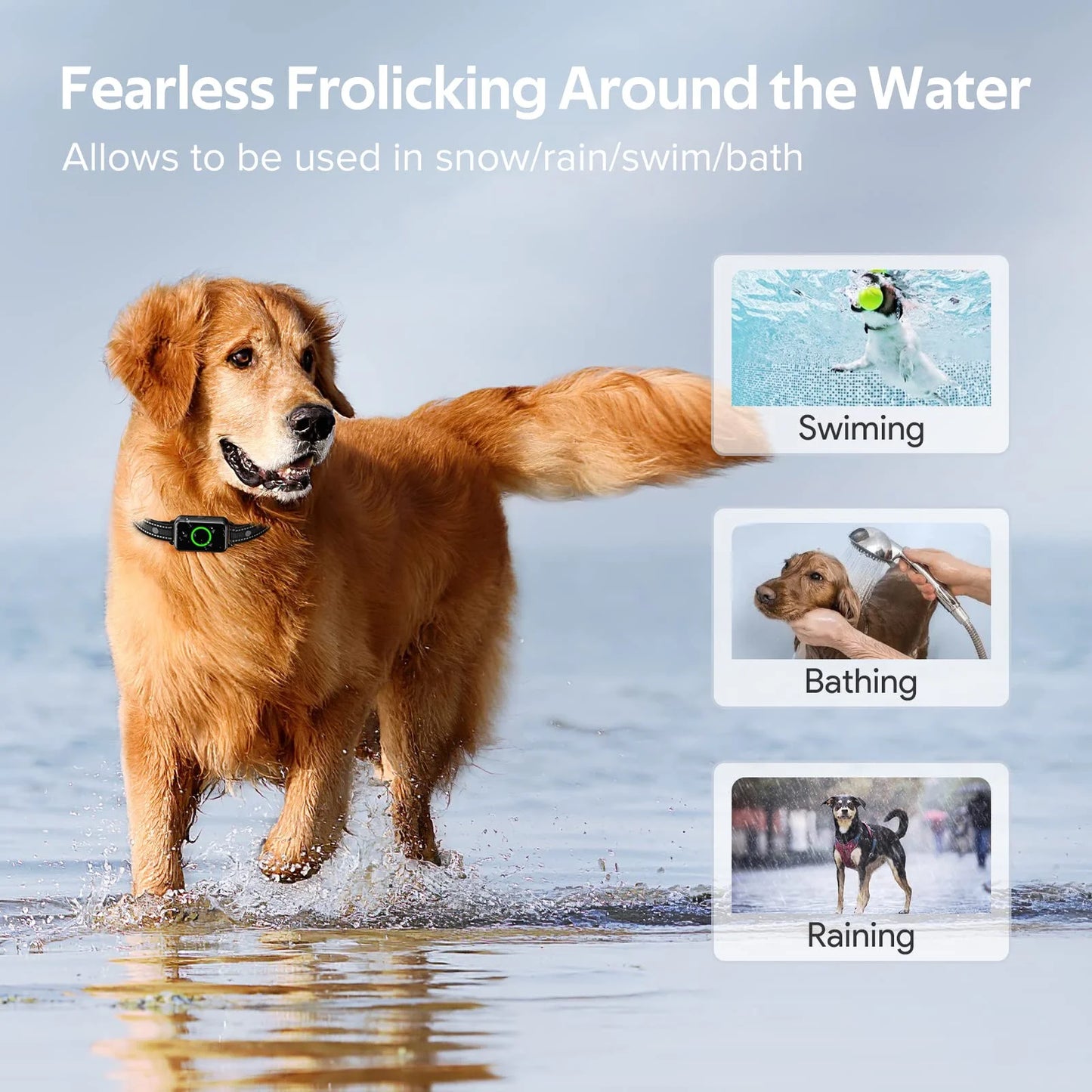 Dog Shock Collar, Training Collar with Remote for Puppies,Small, Medium, Large Dogs